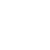 ISO-icon