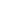 STANDARD-icon
